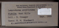 Image Associated With the Occurence
